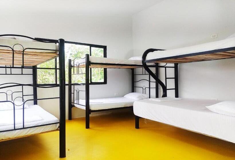 تختخواب در اتاق مشترک, Amalaya Hostel