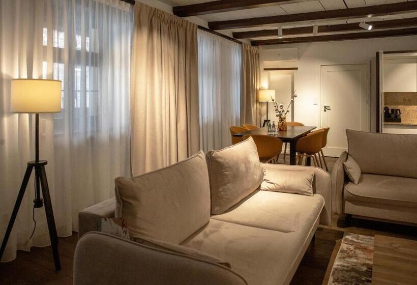 آپارتمان 1 خوابه, Apartamenty Sowa Toruń