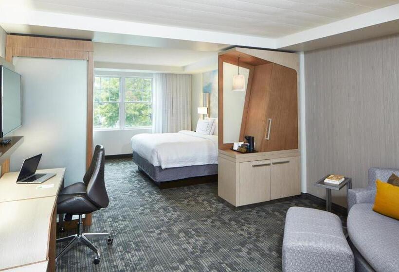 سوئیت با تخت بزرگ, Courtyard By Marriott Lake George