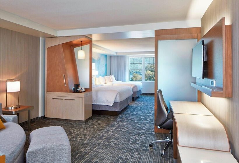 Suite with lake view, Courtyard By Marriott Lake George