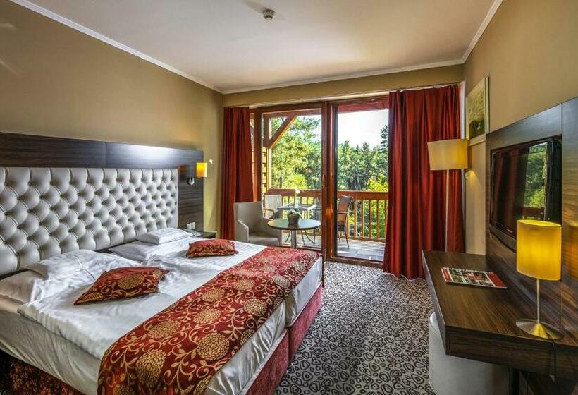 اتاق استاندارد, Erdőspuszta Club Hotel Fenyves