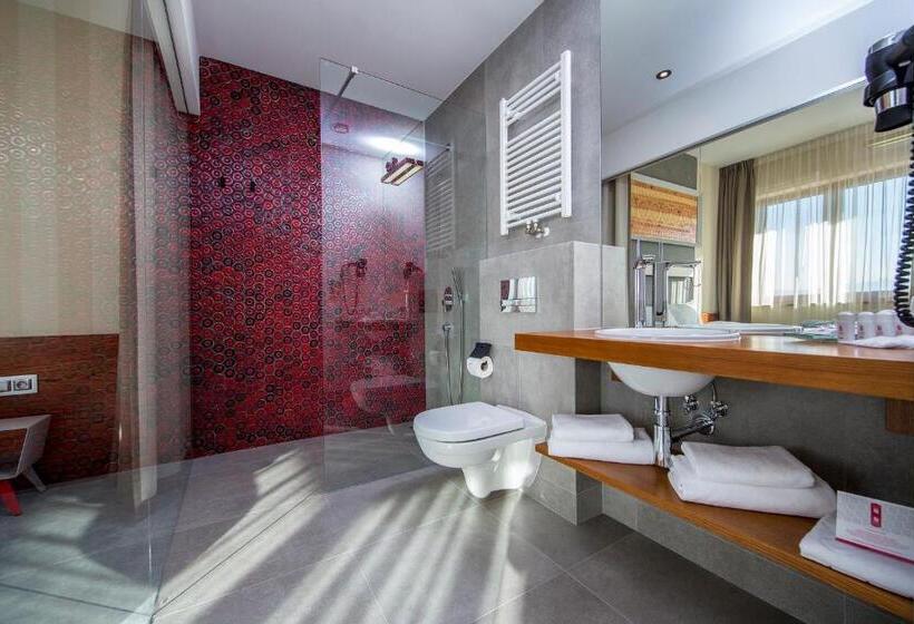 اتاق استاندارد با چشم‌انداز کوهستان, Kopieniec Fizjo  Med & Spa