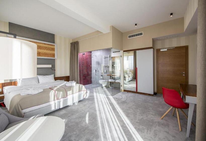 اتاق استاندارد با چشم‌انداز کوهستان, Kopieniec Fizjo  Med & Spa