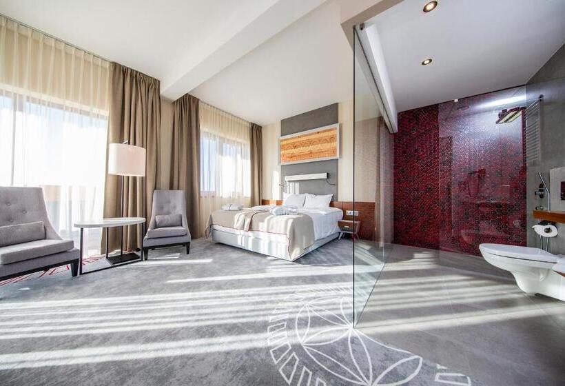 اتاق استاندارد با چشم‌انداز کوهستان, Kopieniec Fizjo  Med & Spa