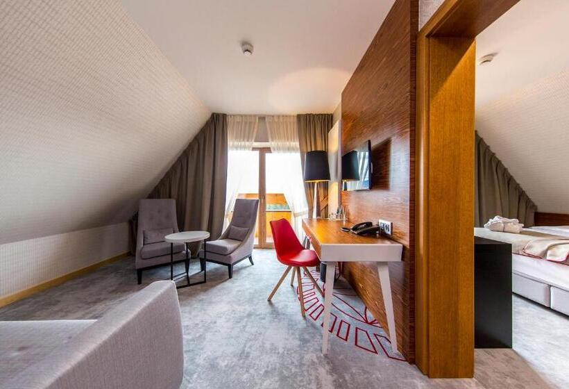 آپارتمان 1 خوابه, Kopieniec Fizjo  Med & Spa