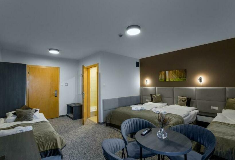 اتاق استاندارد چهار تخته, Pensjonat śnieżka Spa