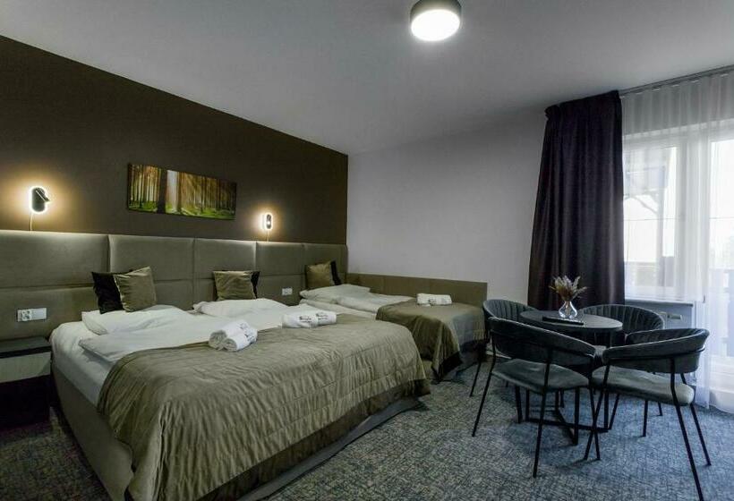 اتاق استاندارد چهار تخته, Pensjonat śnieżka Spa
