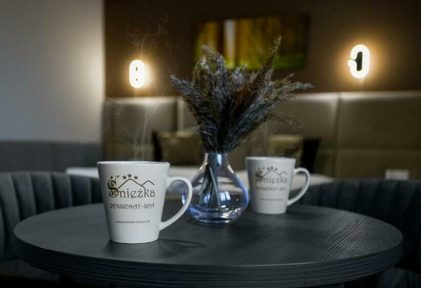 اتاق استاندارد, Pensjonat śnieżka Spa