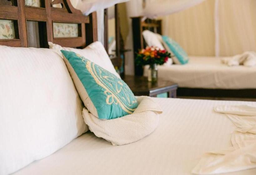 اتاق استاندارد با سرویس بهداشتی مشترک, Caravan Serai Amour