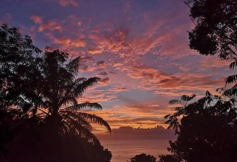 اتاق لوکس با چشم‌انداز دریا, Mizaru   Seaview Central Manuel Antonio