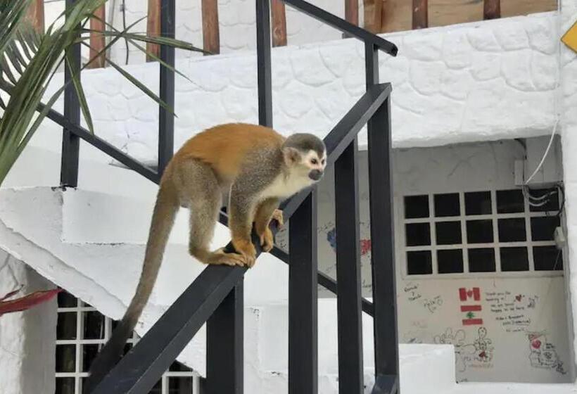 اتاق استاندارد با چشم‌انداز دریا, Mizaru   Seaview Central Manuel Antonio