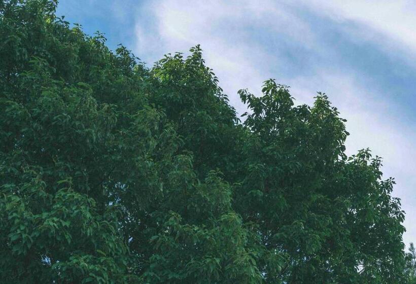 اتاق استاندارد با تراس, Haluta Hotelli Still