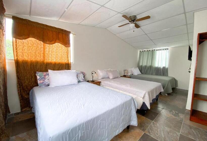 سوییت, Maria Iii Hostal