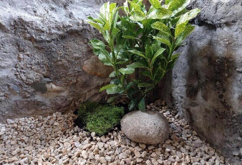 خانه 3 خوابه, Princess Guesthouse