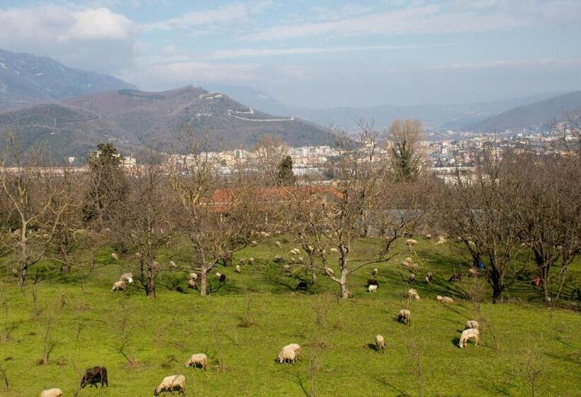 اتاق لوکس با چشم‌انداز, Caledonia B&b