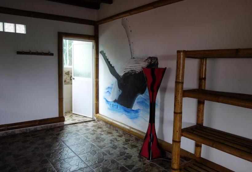 اتاق استاندارد سه نفره, Casa Gaia Mompiche