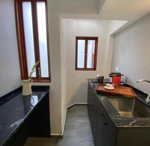 استودیوی لوکس, Siete Puertas Coyoacán