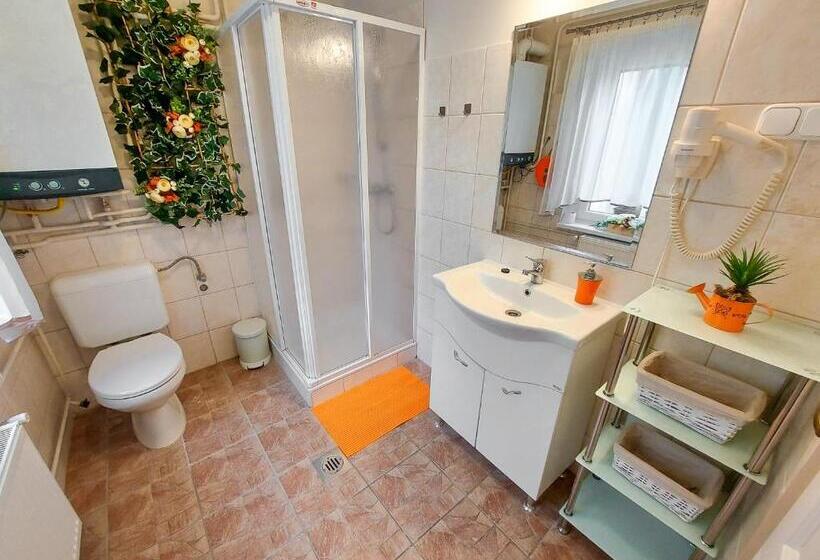 خانه 1 خوابه, Bor Villa Vendégház