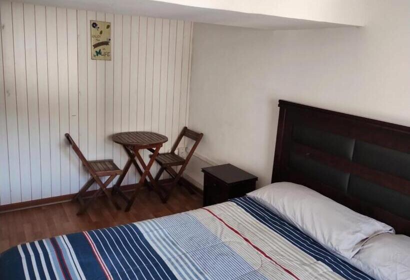 اتاق استاندارد با تخت بزرگ, Wild Bellavista Hostel