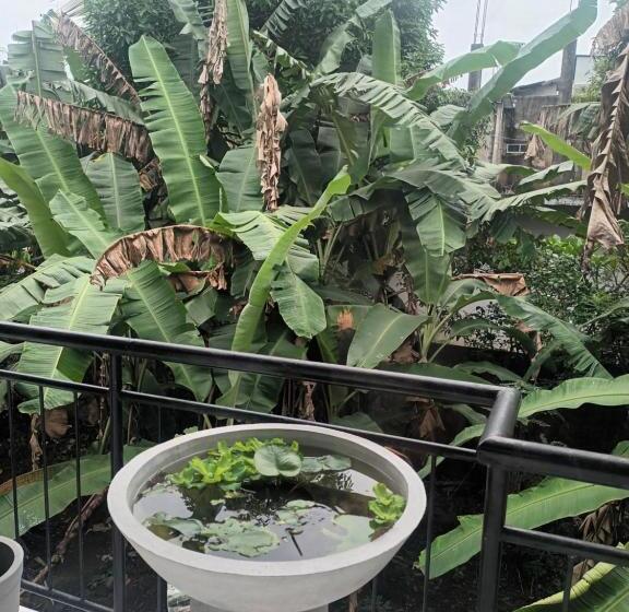 Номер Стандарт, Lovely Flowers In Mount Lavinia
