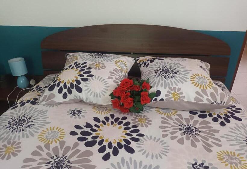 Семейный Номер, Lovely Flowers In Mount Lavinia