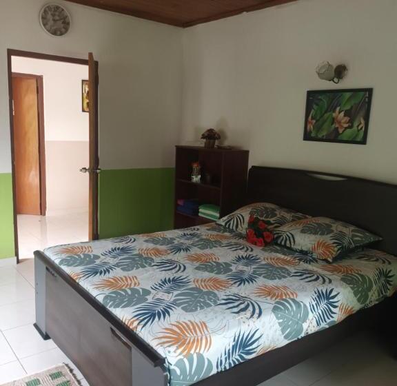 Номер Стандарт Четырехместный Совместный Санузел, Lovely Flowers In Mount Lavinia
