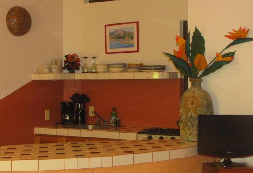 اتاق استاندارد با تخت بزرگ, La Paloma Oceanfront Retreat