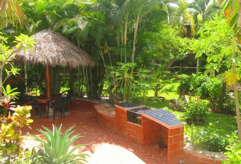 اتاق استاندارد با تخت بزرگ, La Paloma Oceanfront Retreat