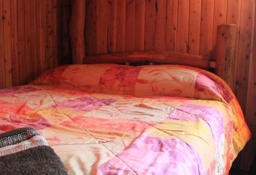 اتاق استاندارد, La Casa Del Viajero Hostel