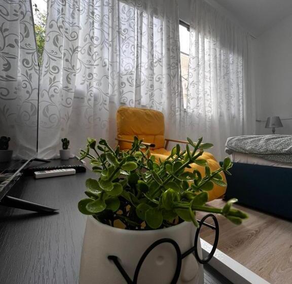 اتاق استاندارد, Budget Retreat Tirana & Studios