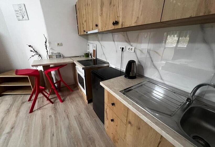 اتاق اکونومی, Budget Retreat Tirana & Studios