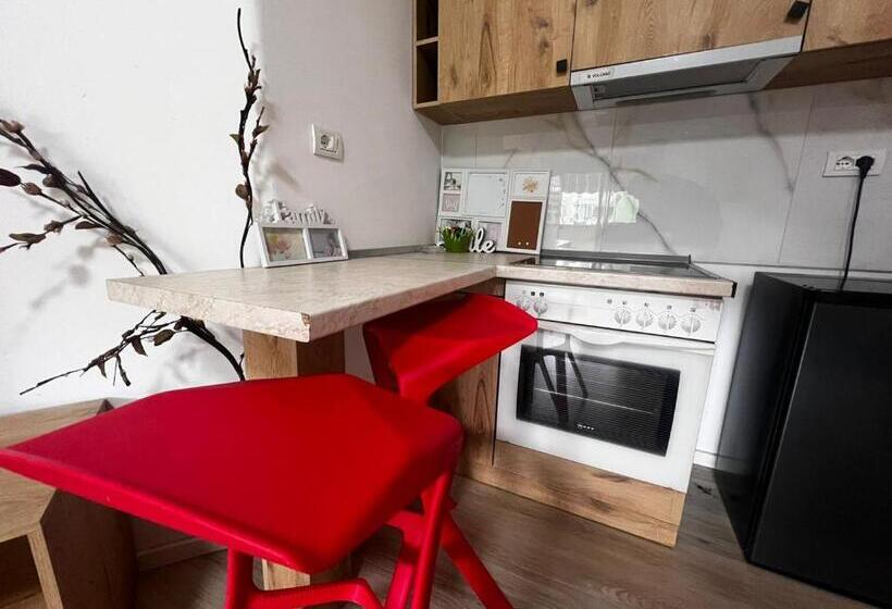 اتاق اکونومی, Budget Retreat Tirana & Studios