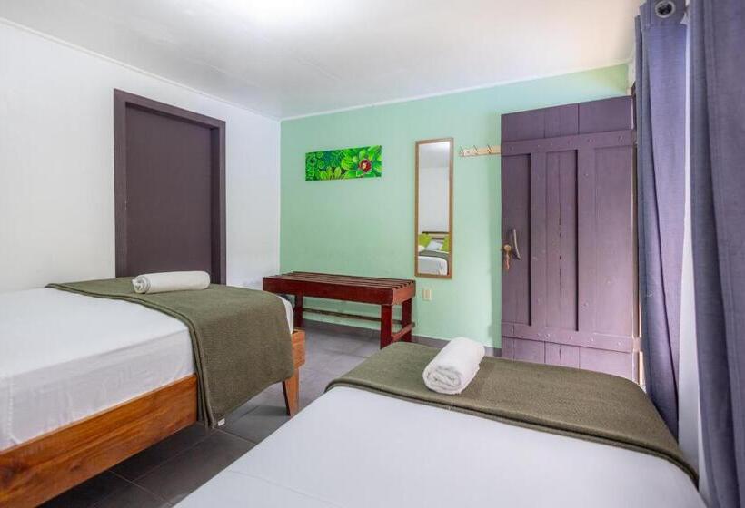 اتاق سوپریور سه تخته, La Casona Eco Lodge Tortuguero