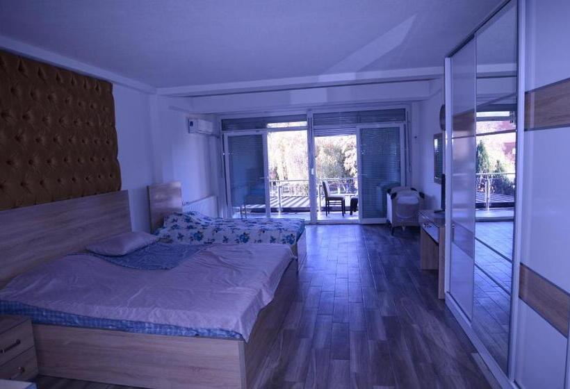 اتاق استاندارد با چشم‌انداز دریاچه, New York Struga