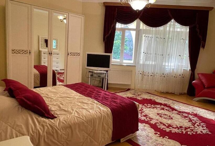 اتاق استاندارد با بالکن, Central Guesthouse