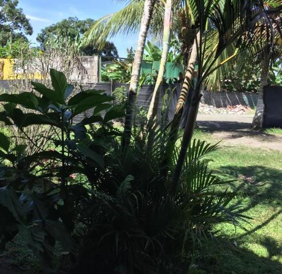 Номер Economy, Palmera Rooms Caribe