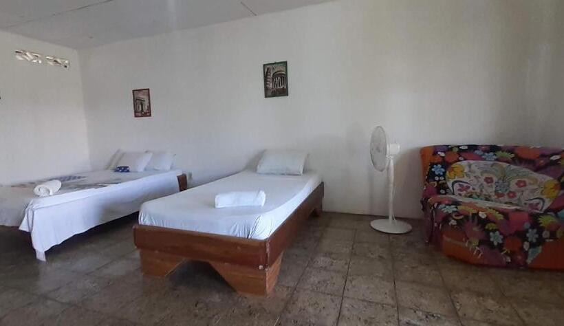 Номер Economy, Palmera Rooms Caribe