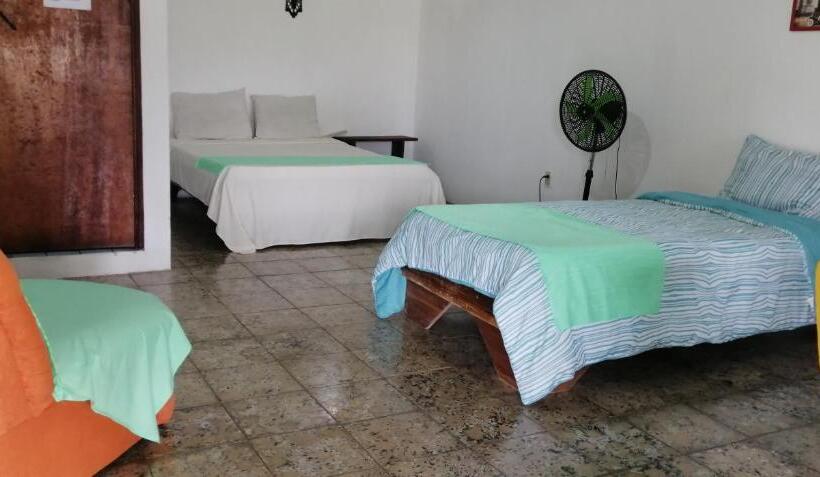Номер Economy, Palmera Rooms Caribe