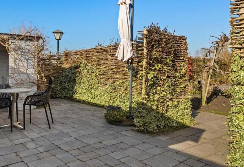 اتاق استاندارد با تراس, Amazing Guesthouse In Broek In Waterland