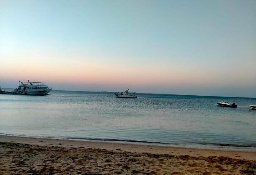 اتاق استاندارد, Sun Beach Hotel Safaga