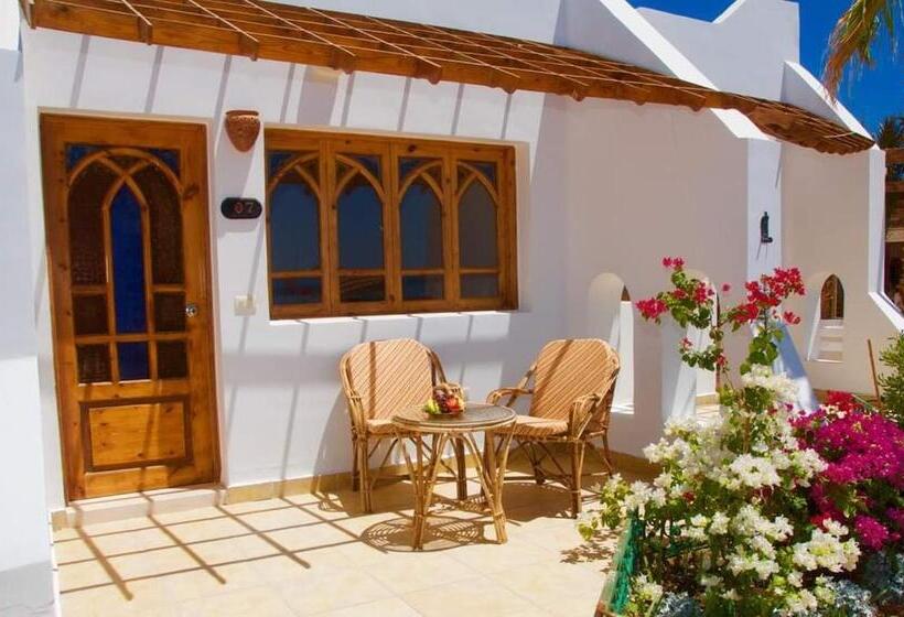 اتاق استاندارد, Sun Beach Hotel Safaga