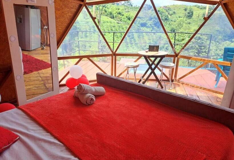 سوییت سوپریور, Glamping Horse