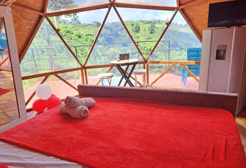 سوییت سوپریور, Glamping Horse