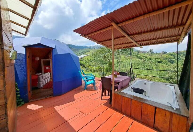 سوییت سوپریور, Glamping Horse