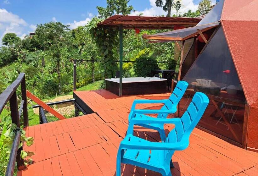 سوییت لوکس, Glamping Horse