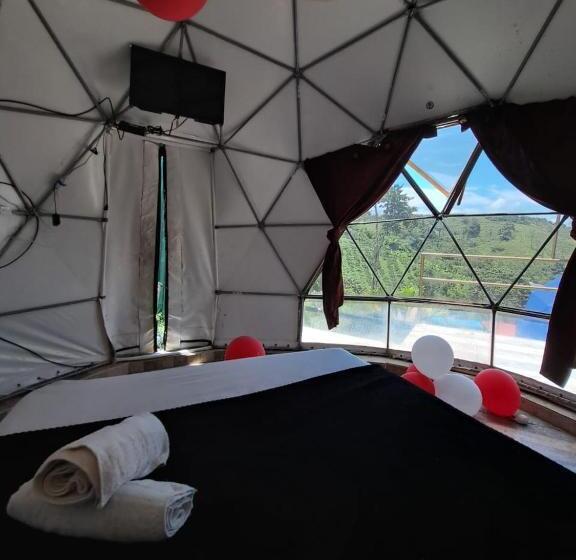 سوییت, Glamping Horse