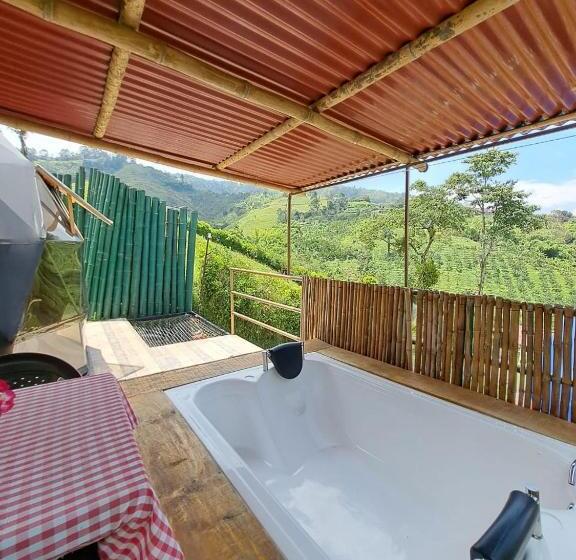 سوییت, Glamping Horse