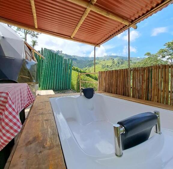 سوییت, Glamping Horse