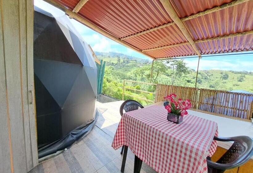 سوییت, Glamping Horse