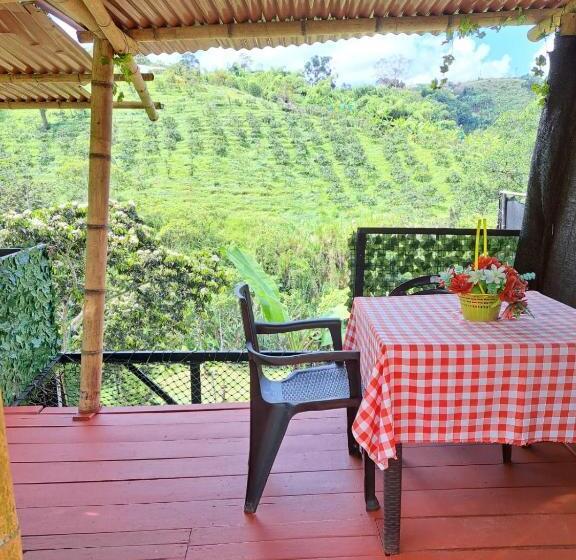 Suite with Terrace, Glamping Horse